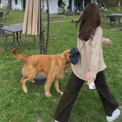 欢喜一家人·人生小事